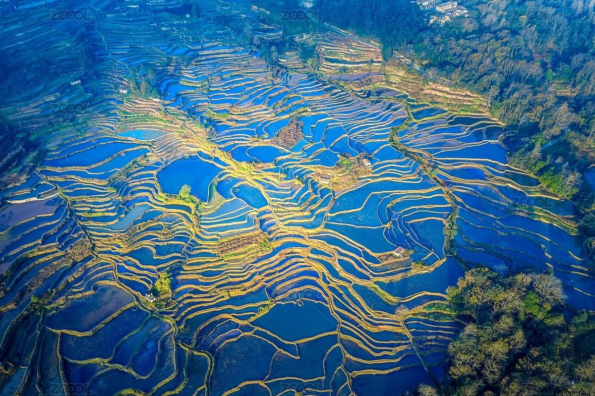 红河风光:元阳梯田的晨雾